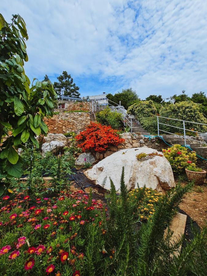 Guest House Davorka Neum Ngoại thất bức ảnh